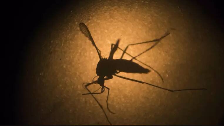TRAVEL DANGERS: Many Australians are questioning their choice of travel destination in light of the recent spike in cases of a potentially deadly mosquito-borne disease. 
