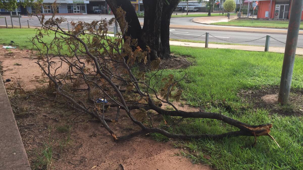 Tree branches are down across town after the storm early this morning. 
