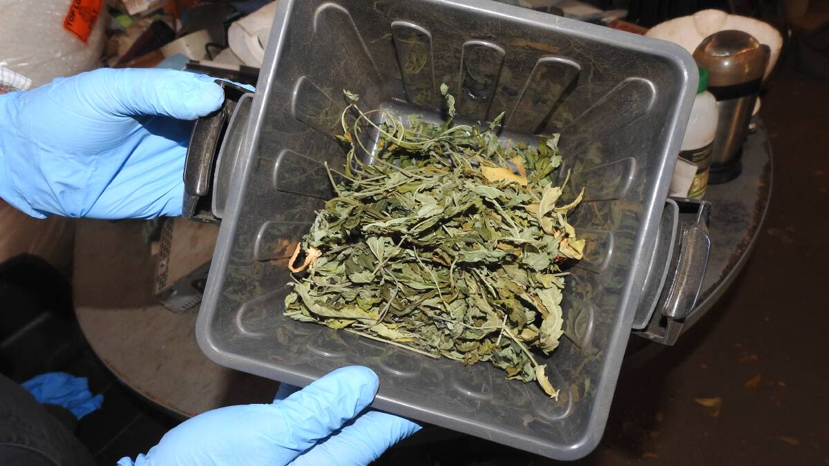 Tents found to grow dope in a Katherine bedroom