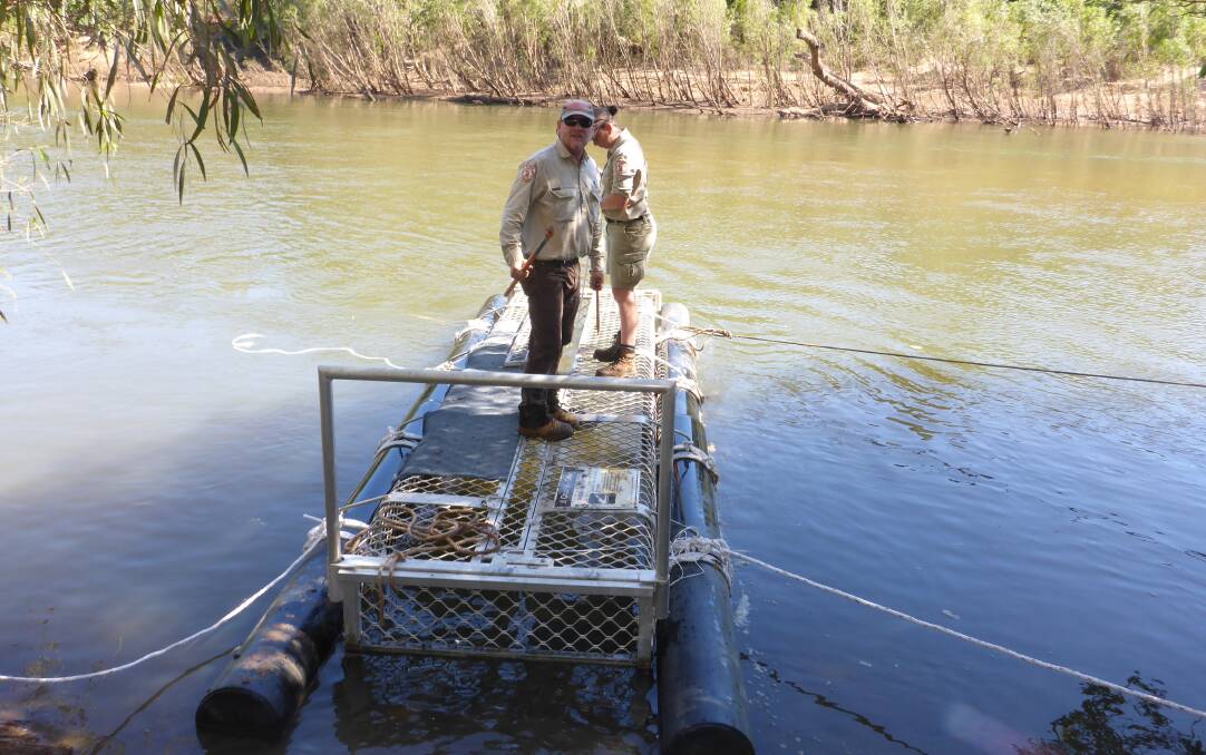 The traps were put into the quarry last Thursday and quickly caught a large saltwater crocodile. Pictures: supplied.