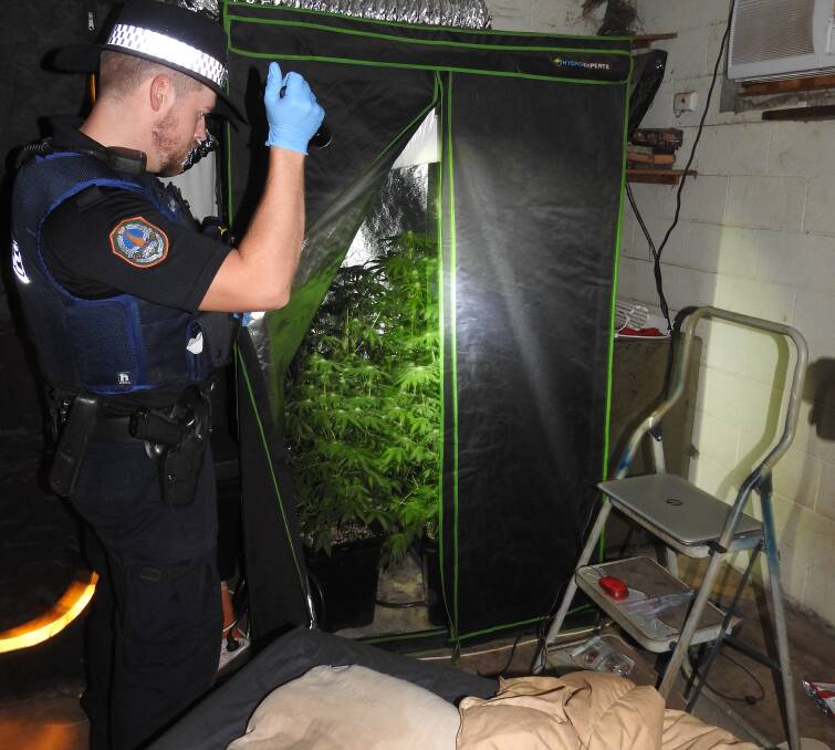 CANNABIS BUST: Police have uncovered two tents growing hydroponic cannabis in a Katherine bedroom. Pictures: NT Police. 