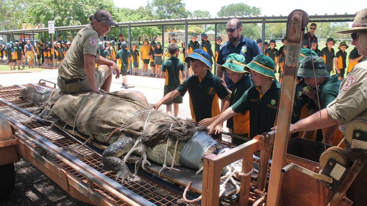 Students in Katherine line up to see a large saltie captured from the Katherine River last year. Picture: Chris McLennan.