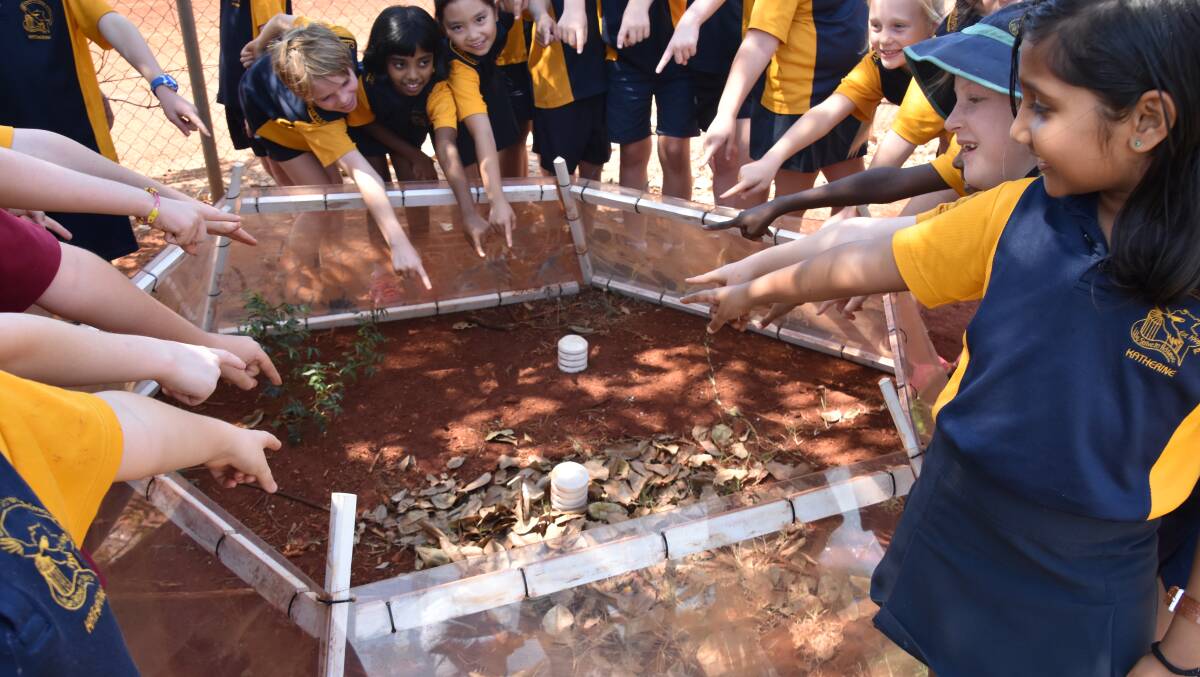 CLIMATE CHANGE STUDY: Casuarina Street Primary School students have been involved in an Australia wide climate change study. 
