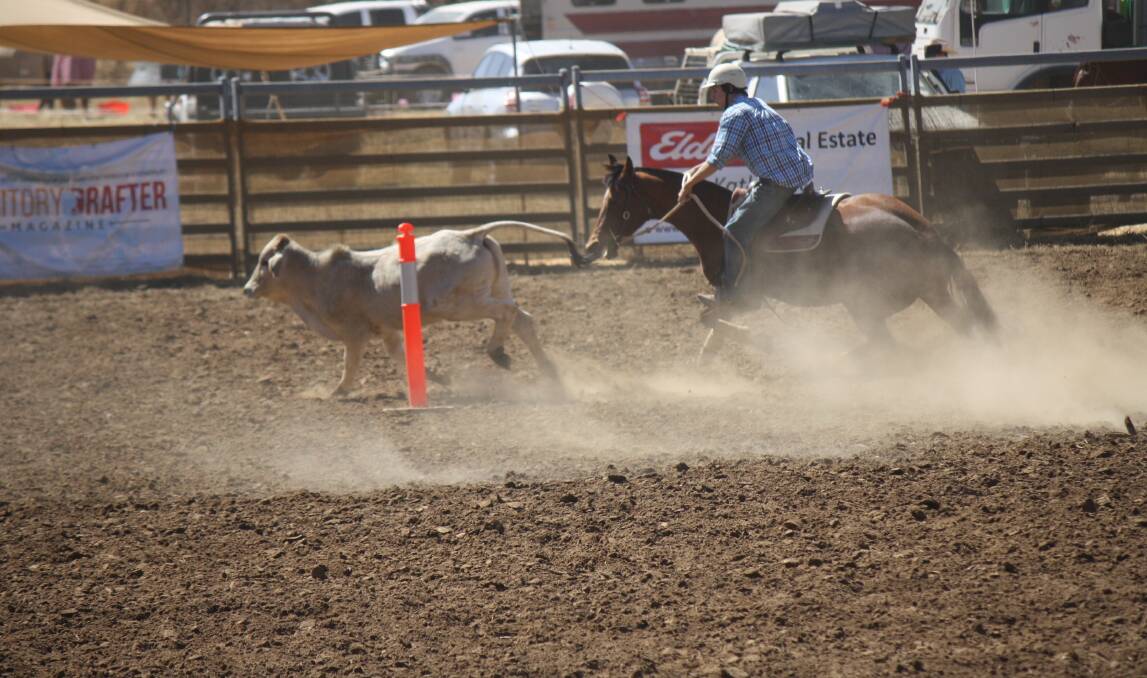 Campdraft at the show attracts entries from across the Northern Territory. 