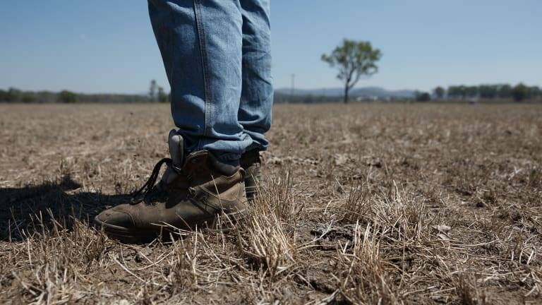 Many Aussie farmers are struggling due to the current drought. 