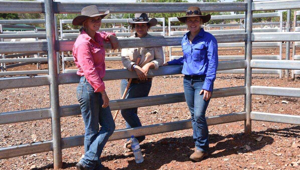 Apprentices Reanna Brumpton, Lilly Marks and Elizabeth Horne spent today herding the cattle to be artificially inseminated. 