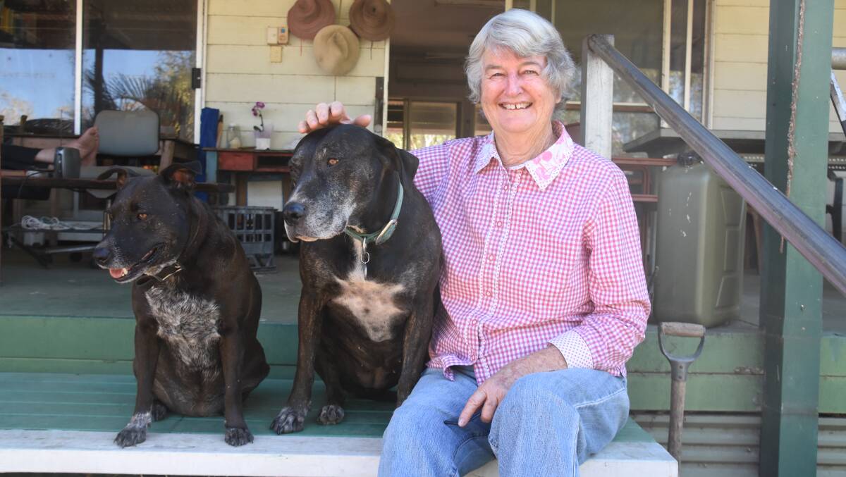 HART OF GOLD: Bess Hart was has been fighting cancer with billy tea and scones for more than nine years, now she is doubling her efforts to help farmers struggling through drought and floods.