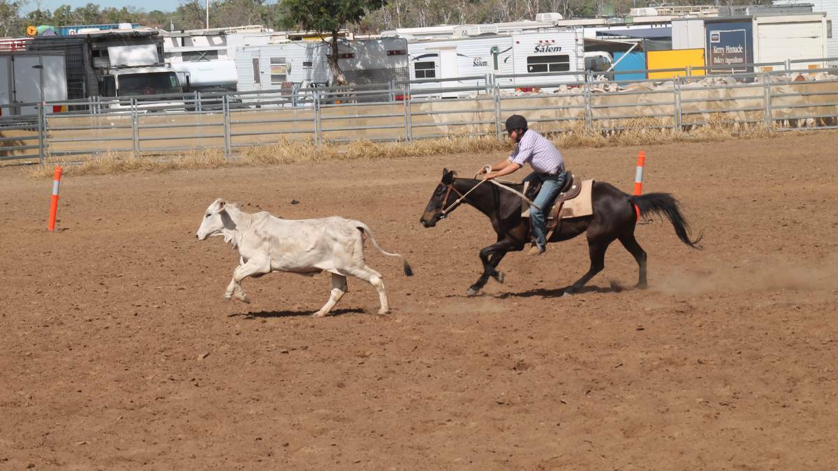 Campdrafting is a uniquely Australian equestrian sport and quite possibly one of only three sports recognised as Australian-developed. Photo: Lydia Lynch. 