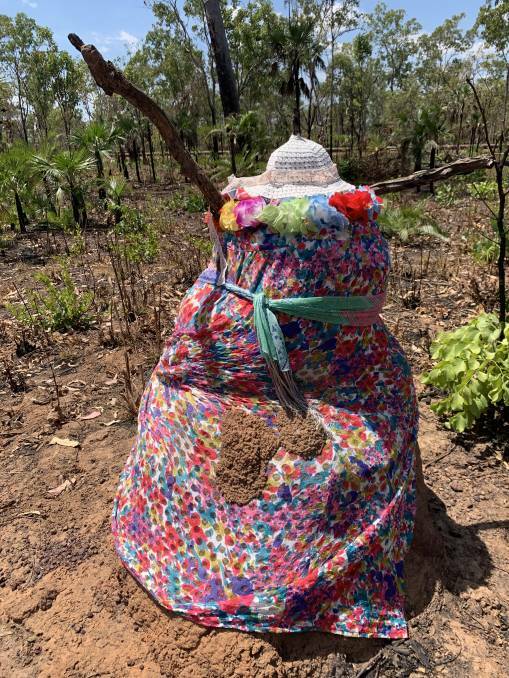 There are hundreds of dressed up termite mounds along the Stuart Highway. Picture: Professor Claire Smith.
