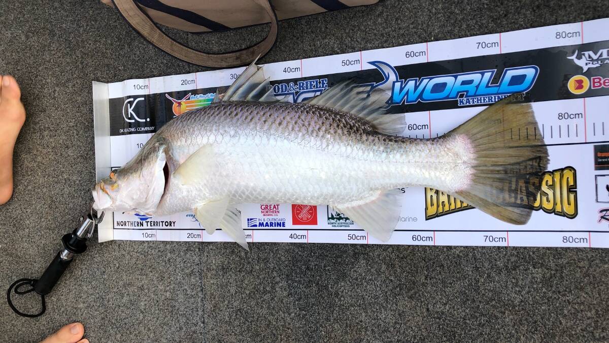CATCH OF THE DAY: The tagged barra measured 78cm. Picture: Harry Renfree. 