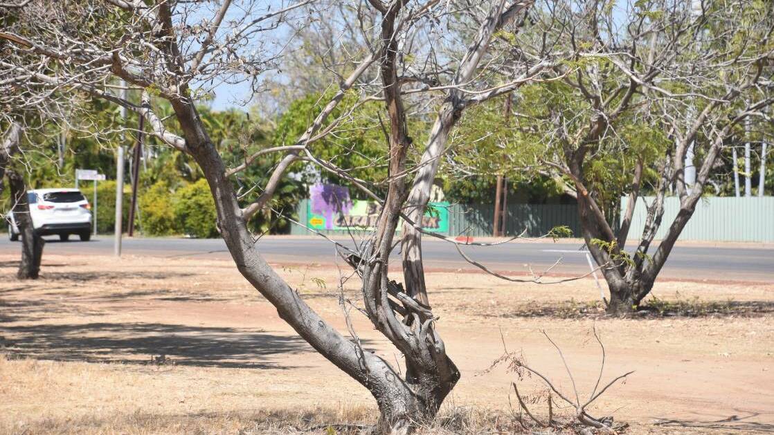 The groundwater in the Katherine region has been depleted following a poor wet season which recorded less than average rain falls. 