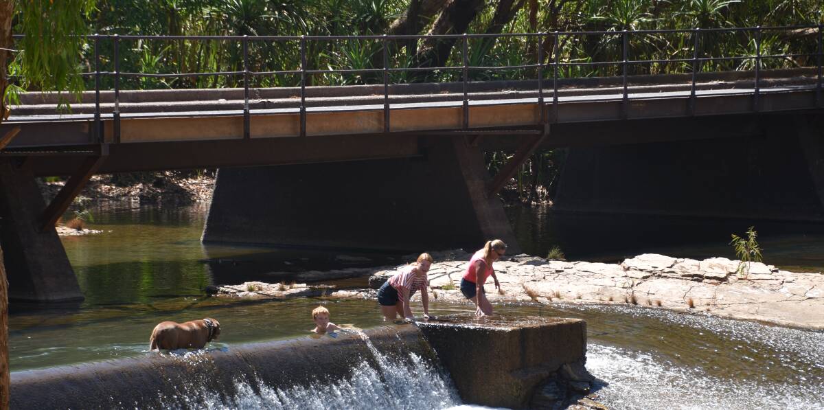 COOL DOWN: Russ Dennis brings his family and his dog Sarge to swim in the Katherine River but watches carefully. 