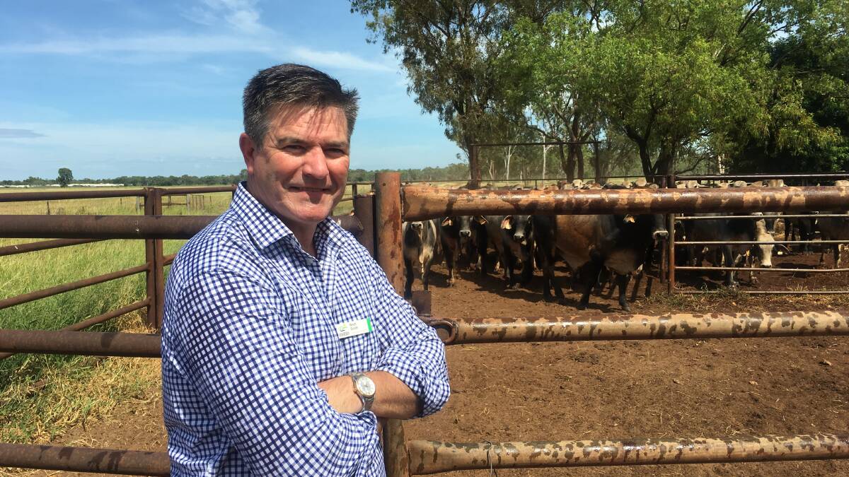 RBS CEO Brett Smith at a Katherine cattle station before the Business Stakeholder Meeting at Knotts Crossing. 