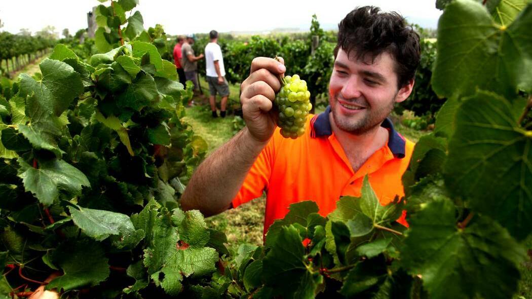 Industries across the NT and the whole of Australia have been calling for a lift on   visa restrictions for skilled and unskilled workers to fill gaping holes in the farm workforce.