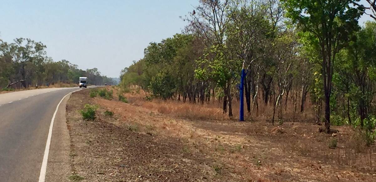 Possibly the first in the Northern Territory, the Blue Tree sits just off the busy Stuart Highway, and will hopefully spark a conversation as drivers pass by. 