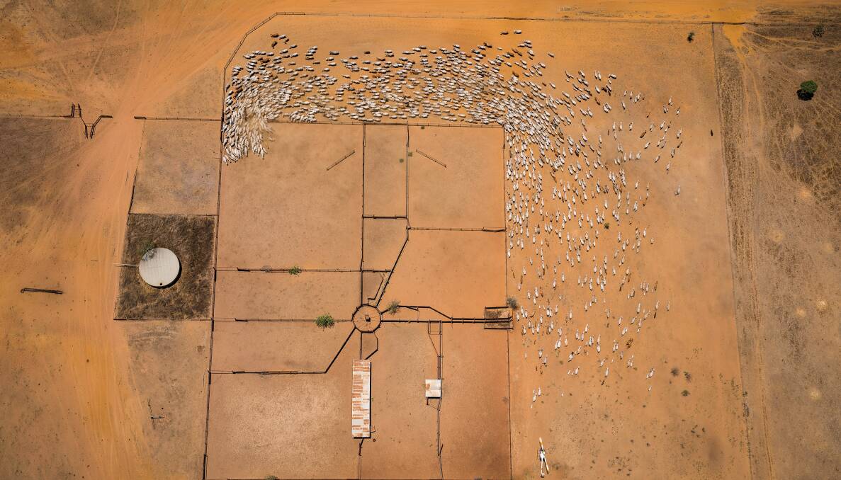 Post-Easter mustering in the north is expected to boost the available supply of cattle for live export, but whether that will convert to larger numbers shipped is not a given. Picture via NTCA.