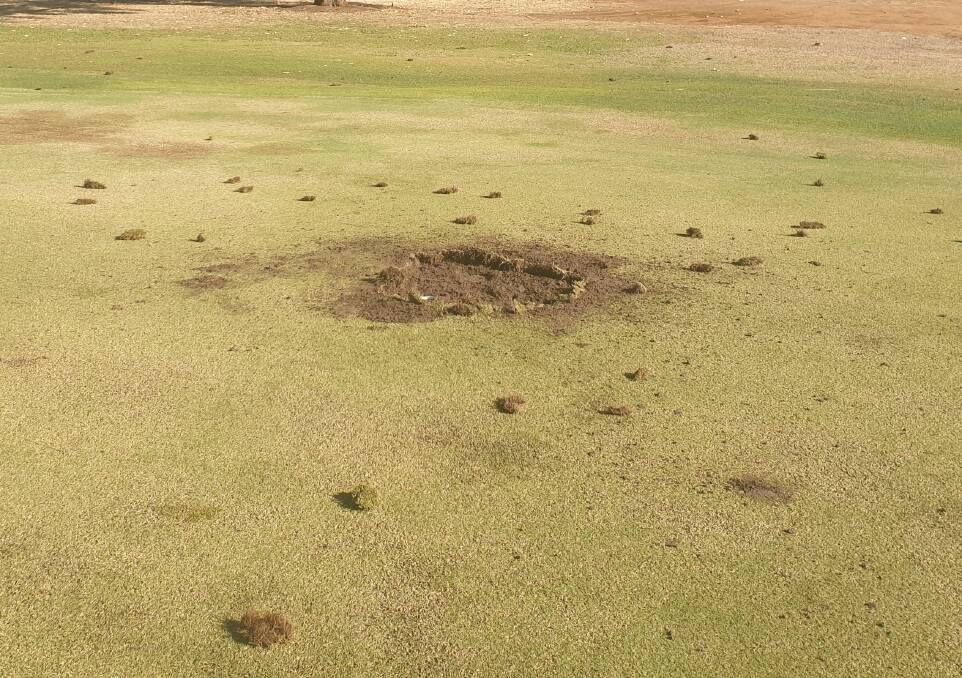 No sooner had the damage to the third green been repair, vandals came back to dig it up again. Pictures: supplied.