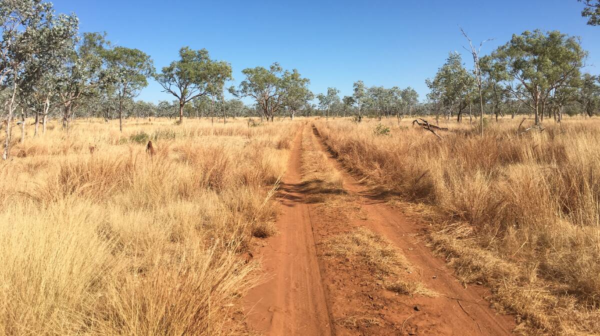 MAKING TRACKS: Distinctive 4WD tracks in Judbarra- Gregory National Park during the dry season, preparation is the key to outback travel.