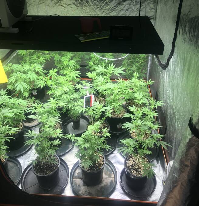 BUSTED: The hydroponic set up located at the man's house by police. Picture: NT Police.
