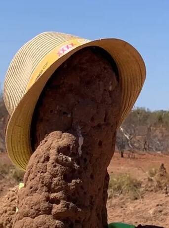 Academics ponder what dressed up termite mounds say about Territorians