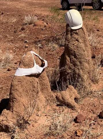 Academics ponder what dressed up termite mounds say about Territorians
