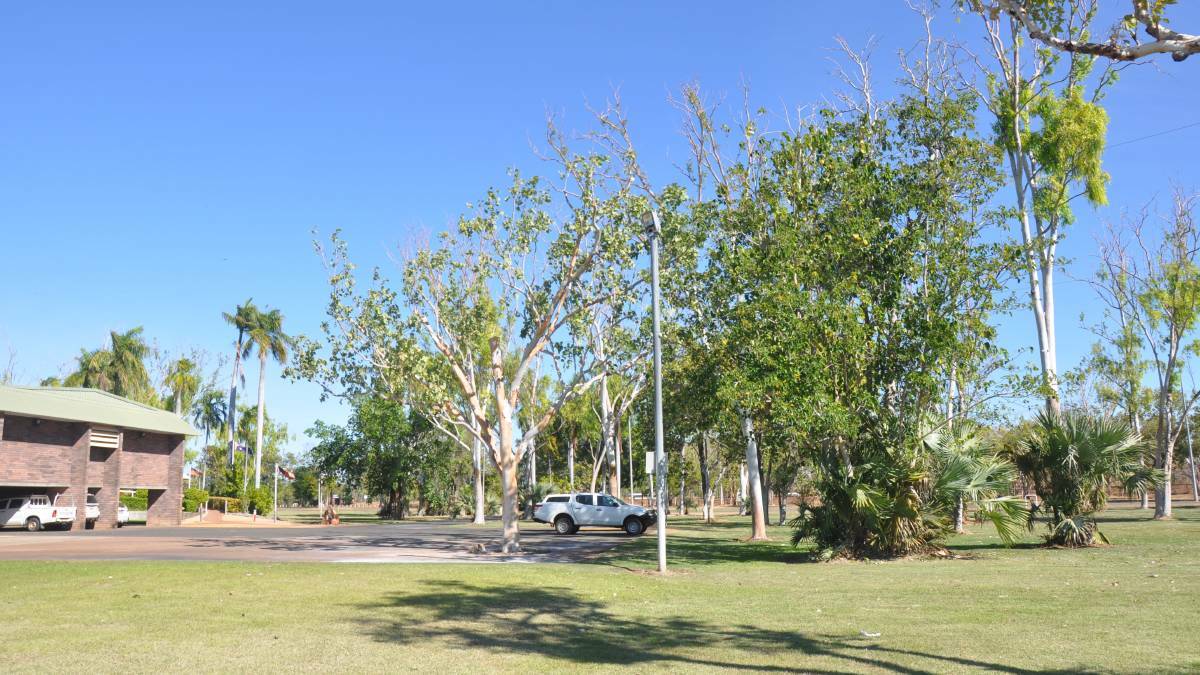 The removal of 55 dangerous trees at the Katherine Civic Centre begins tomorrow.