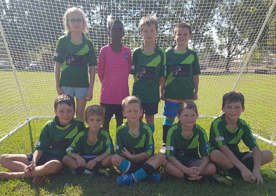 Under 8s Dragonflies Swamp Busters won their match.
