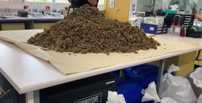Just some of the drugs seized by police. Picture: Nine News Darwin.
