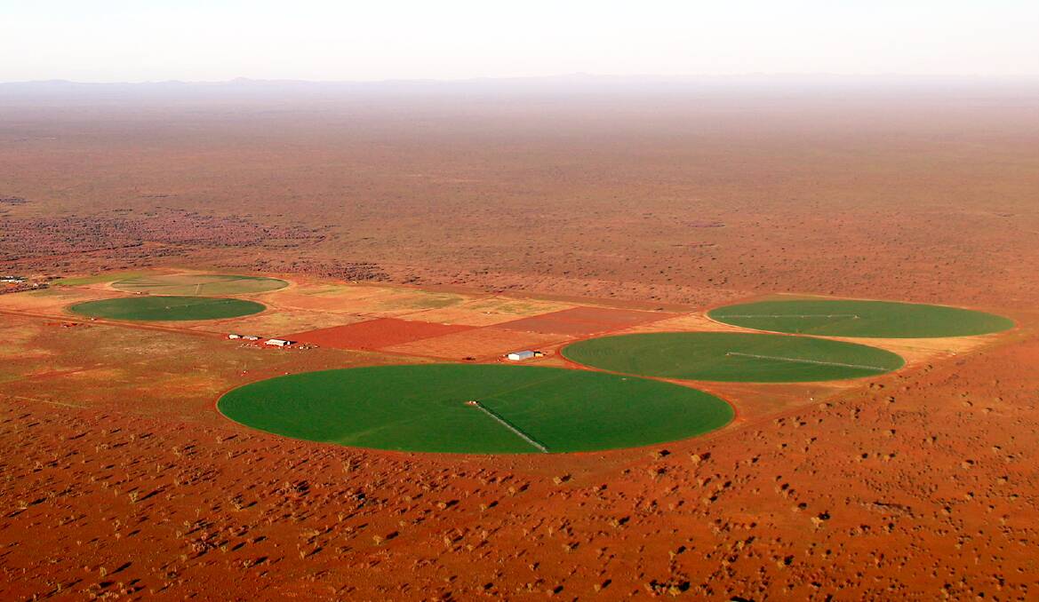 At Oolloo Farm, 154ha has been developed with six centre pivot irrigators supported by a 3000 megalitre groundwater extraction licence and eight bores.