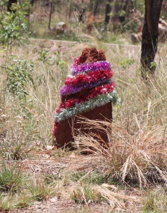DRESS UP: Christmas colour on the roadsides leading into Katherine.