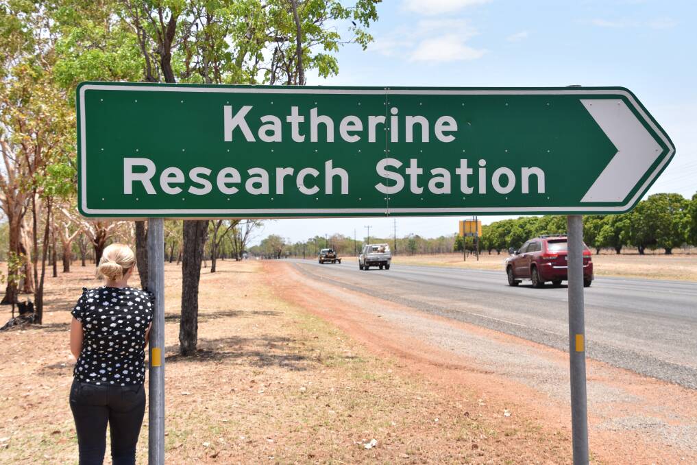 NEW DEVELOPMENT: The new neighbourhood commercial centre in Katherine East is planned to be built off the Stuart Highway, adjacent to the Katherine Research Station.