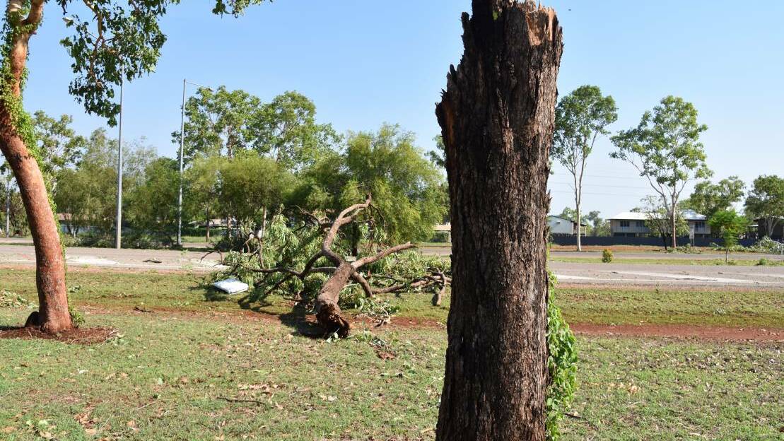 Trees were flattened across the Katherine region early last month with the biggest wind gusts recorded in the NT last year.