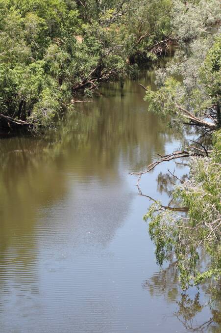 WATER WORRY: Most of Katherine's water is taken from the Katherine River but 10-20 per cent of supplies come from the groundwater containing chemicals.