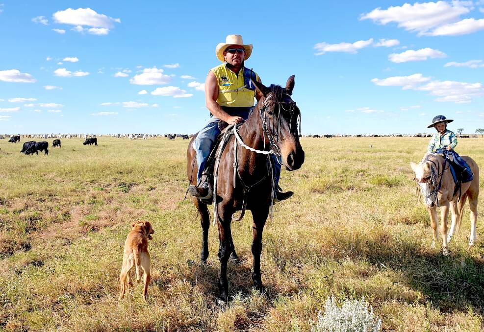 Open road: Southern NSW-based contract drover Brian Glendenning watches the Newcastle Waters mob south of Winton. Picture: Sally Cripps.