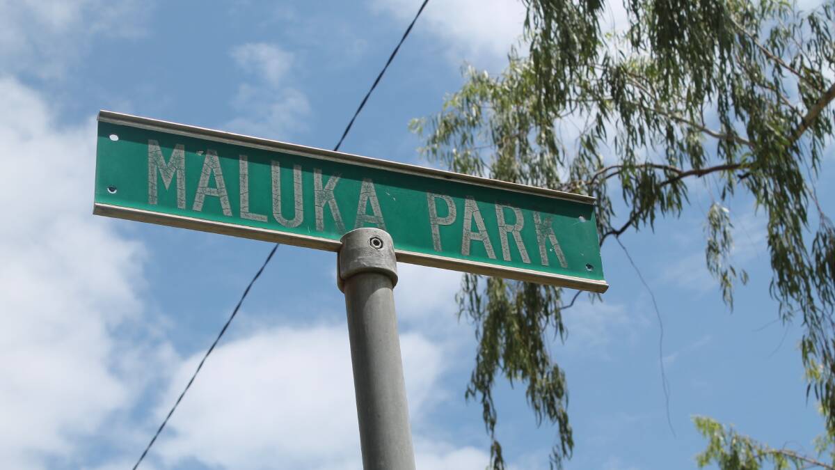 SHUT DOWN: Maluka Park only has an ageing slide and a well covered soft fall area remaining in the playground, which will be removed. 