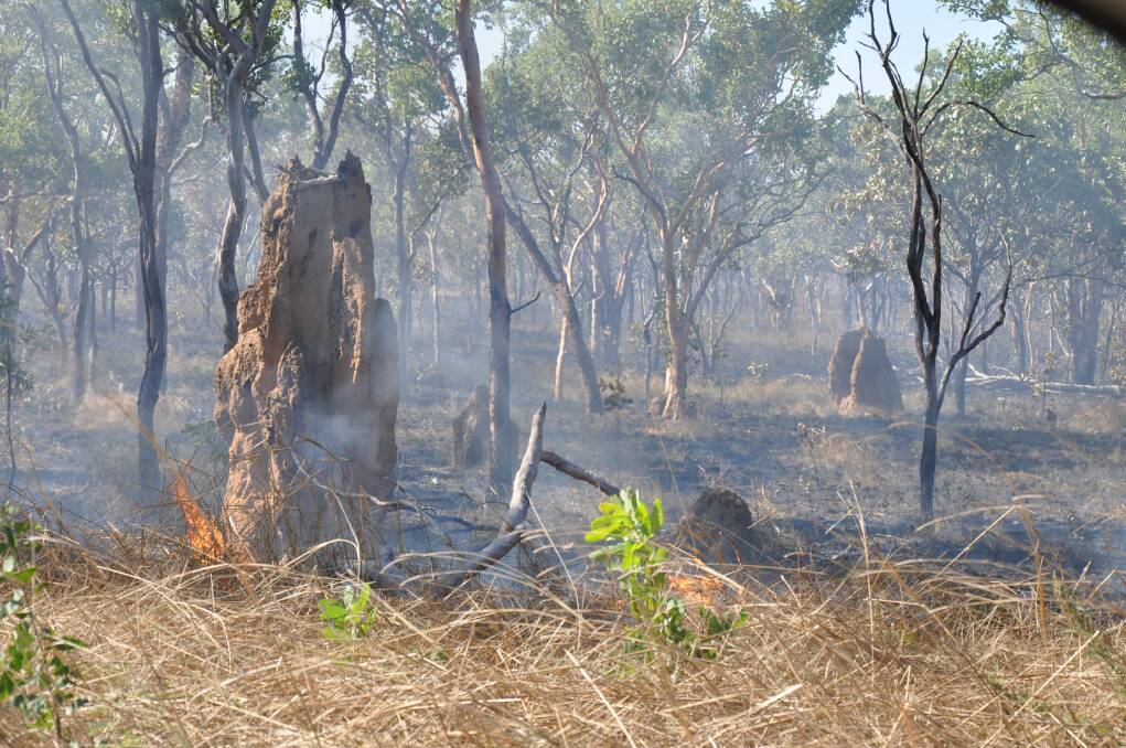 There are many planned burns under way along the Stuart Highway with smoke often obscuring the highway.