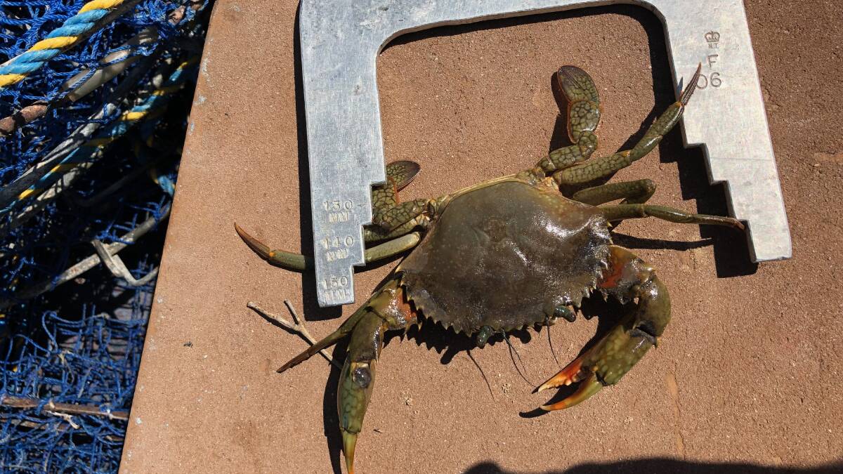 Water police have had complaints some people were taking too many crabs. Pictures: NT Police.