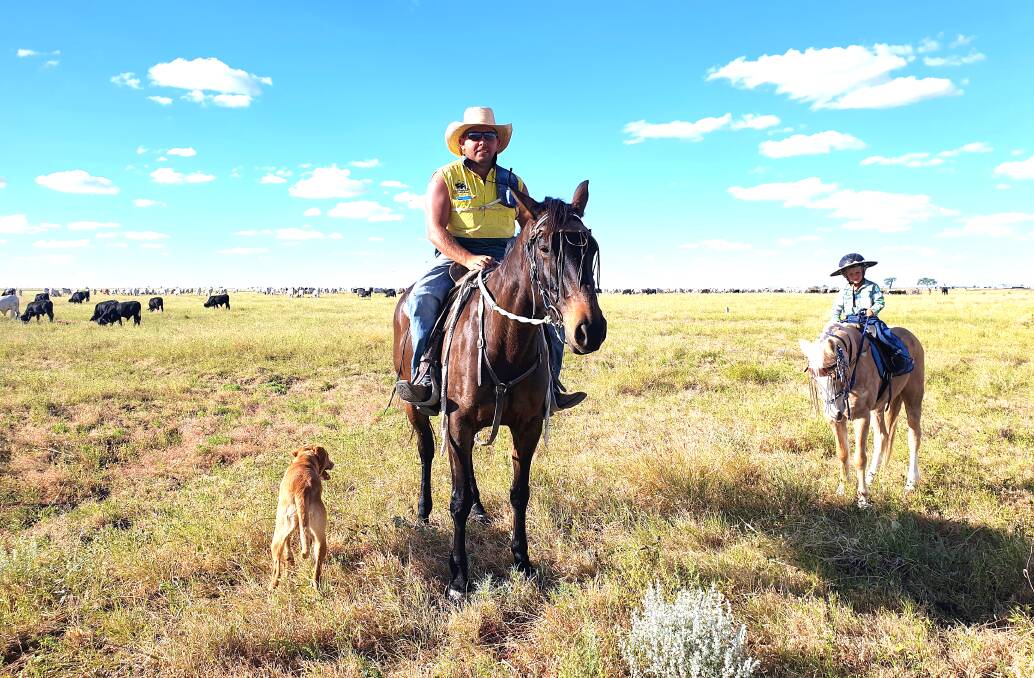 A drover walking the long paddock in Queensland with cattle forced off parched NT farms. Picture: Sally Cripps.