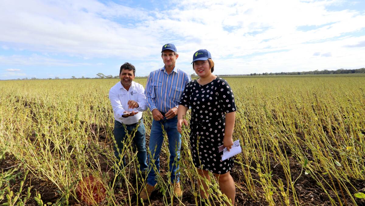 University researchers will trial spice crops across northern Australia. Picture: supplied.