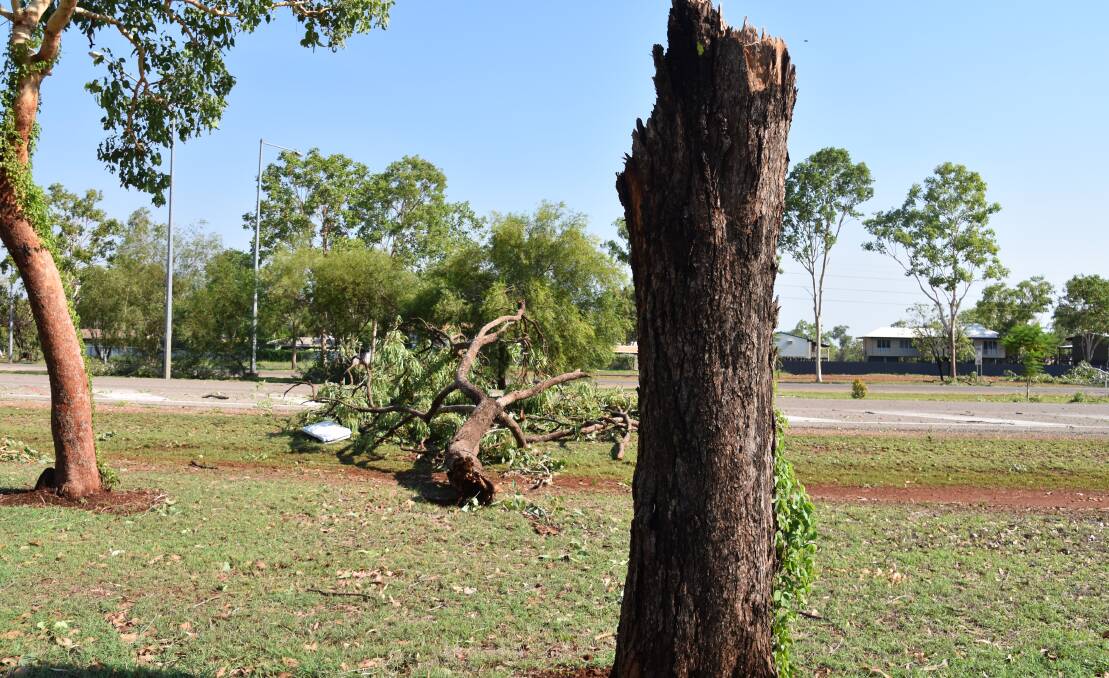 The clean up will continue in Katherine today after a wild storm last evening. Pictures: Natasha Baker.