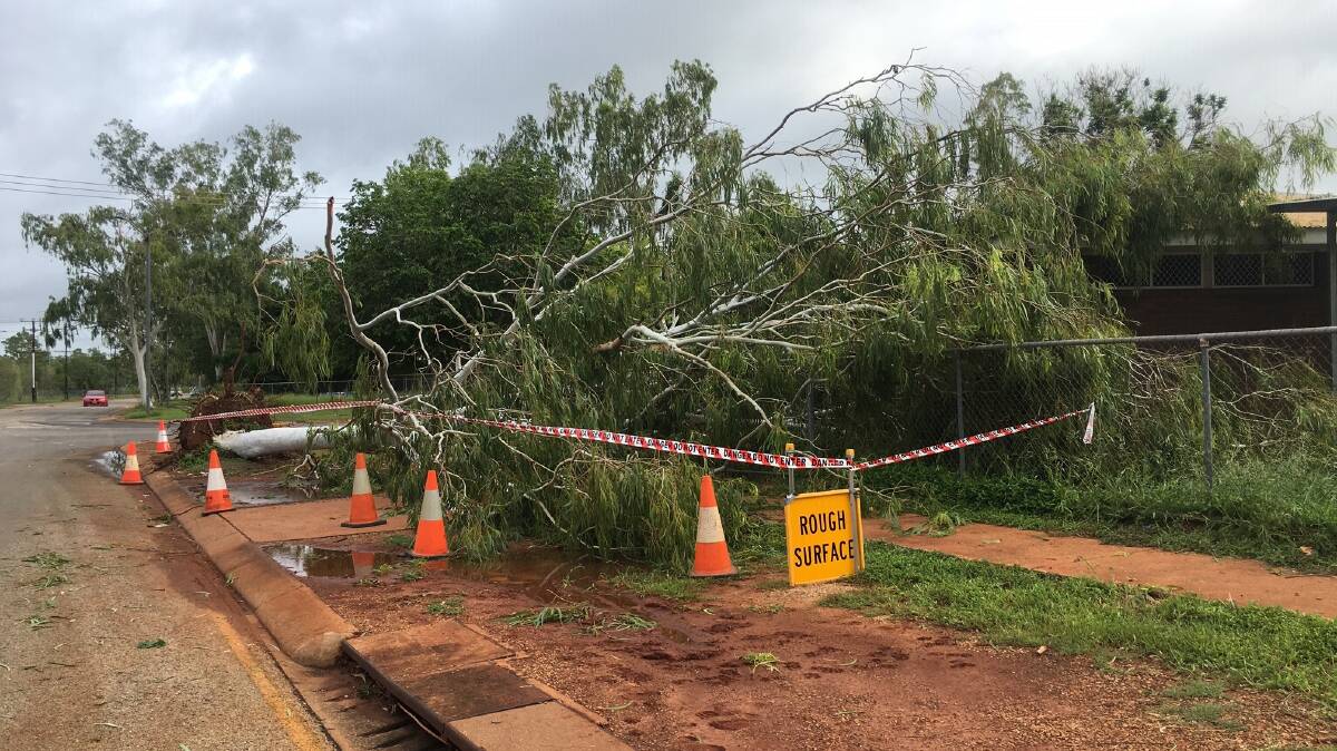 More trees are down in Katherine East this morning.