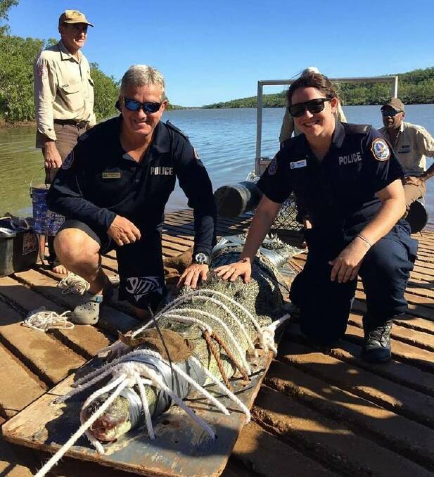 CROC CATCH: Outback cops helped Katherine rangers truss up this crocodile catch. Picture: NT Police.