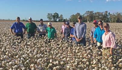 NT farmers toured Qld and northern NSW cotton farms earlier in the year.