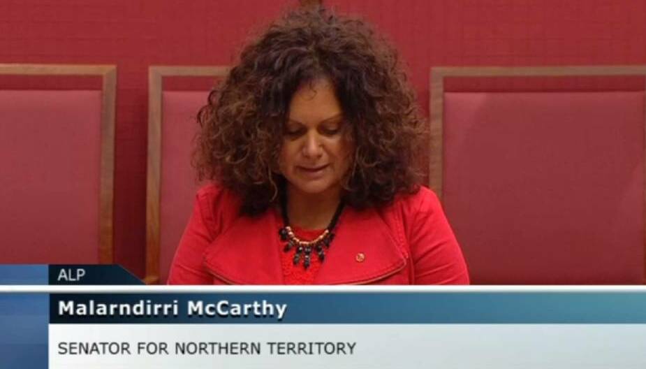 FAMILIAR FACE: Senator McCarthy is deputy chair of the Senate committee.