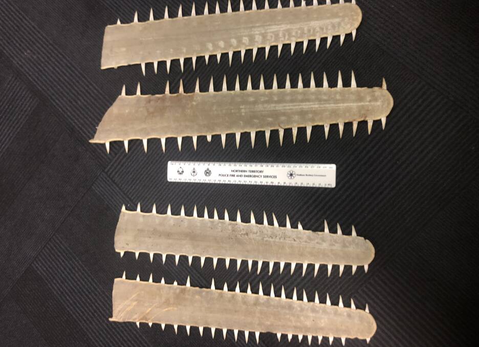 A 62-year-old was found in possession of four sawfish rostrums.