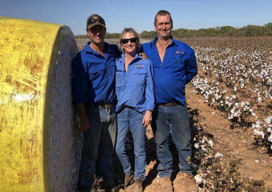A trial cotton crop was grown successfully using rain at Edith Farms.