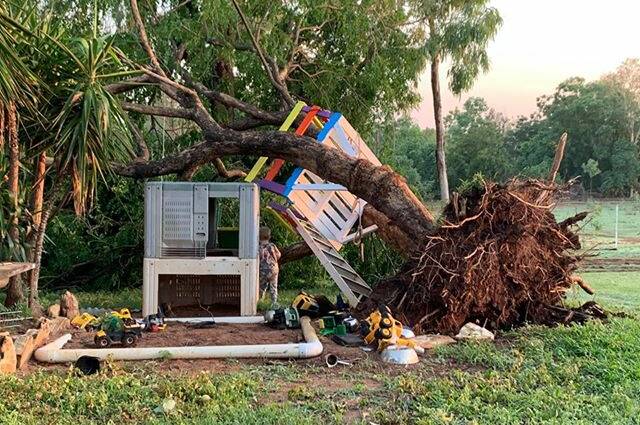 DOUBLE BLOW: The tree house damage is bad enough but the Rosewood "was a lovely shade tree" and will be missed, says Mandy Tootell.