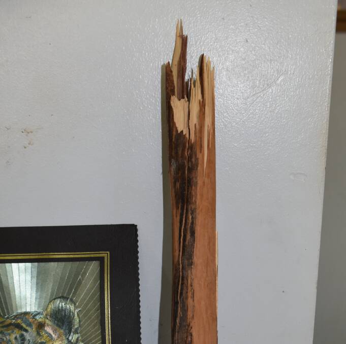 CRIME WEAPON: The stick used to hit the elderly Katherine man repeatedly. Picture: Roxanne Fitzgerald.