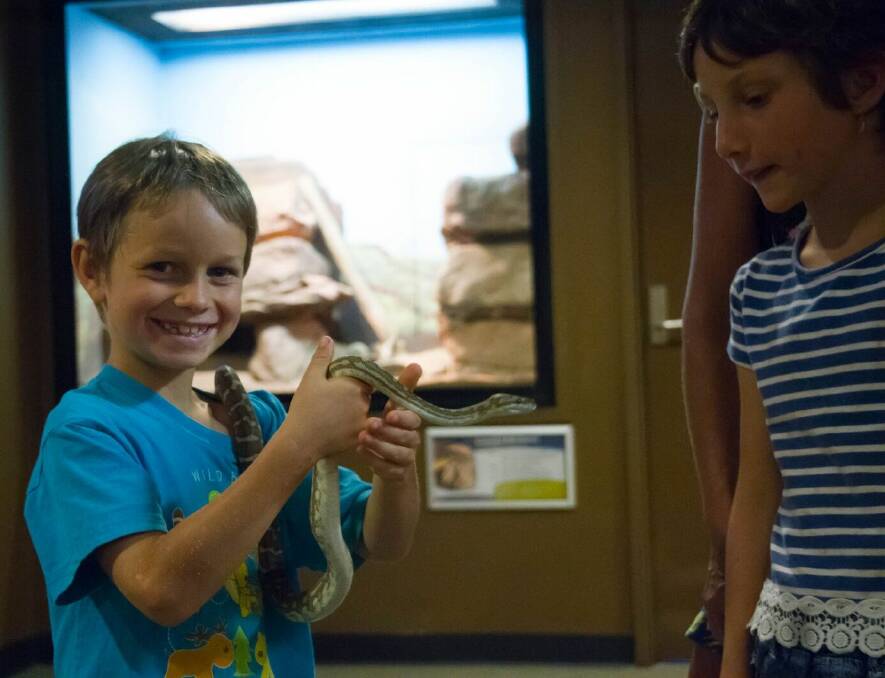 LOTS TO LEARN: In the program, kids go behind the scenes where they are introduced to unique reptiles and provided with educational talks.