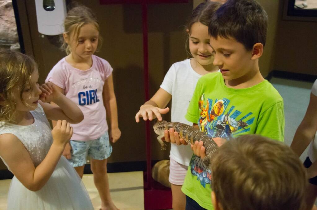 KIDS FUN: Crocosaurus Cove staff are quite proud of their Junior Reptile Ranger Program, developed earlier this year. 